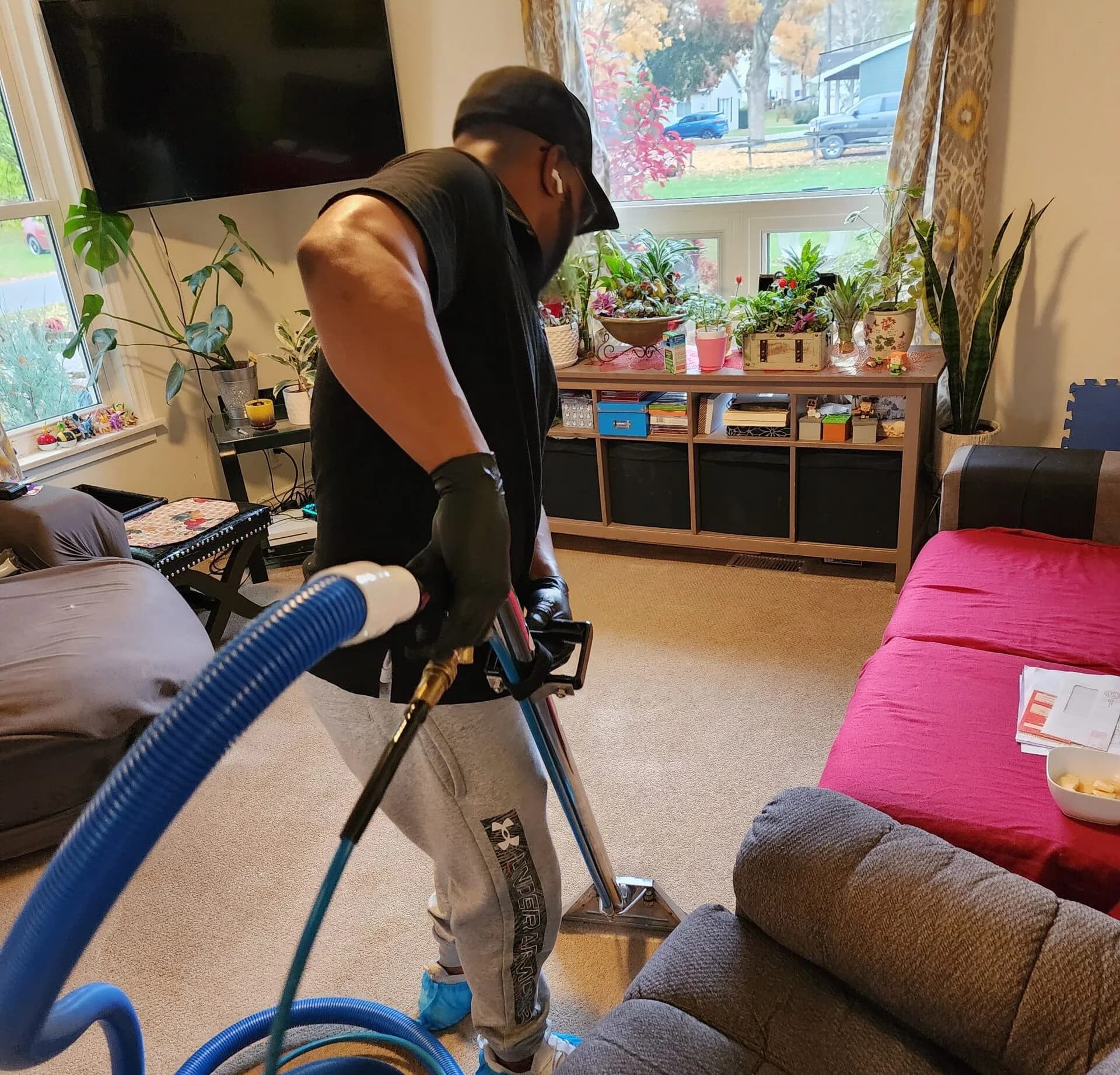 Upholstery & Carpet Cleaning in Hamilton