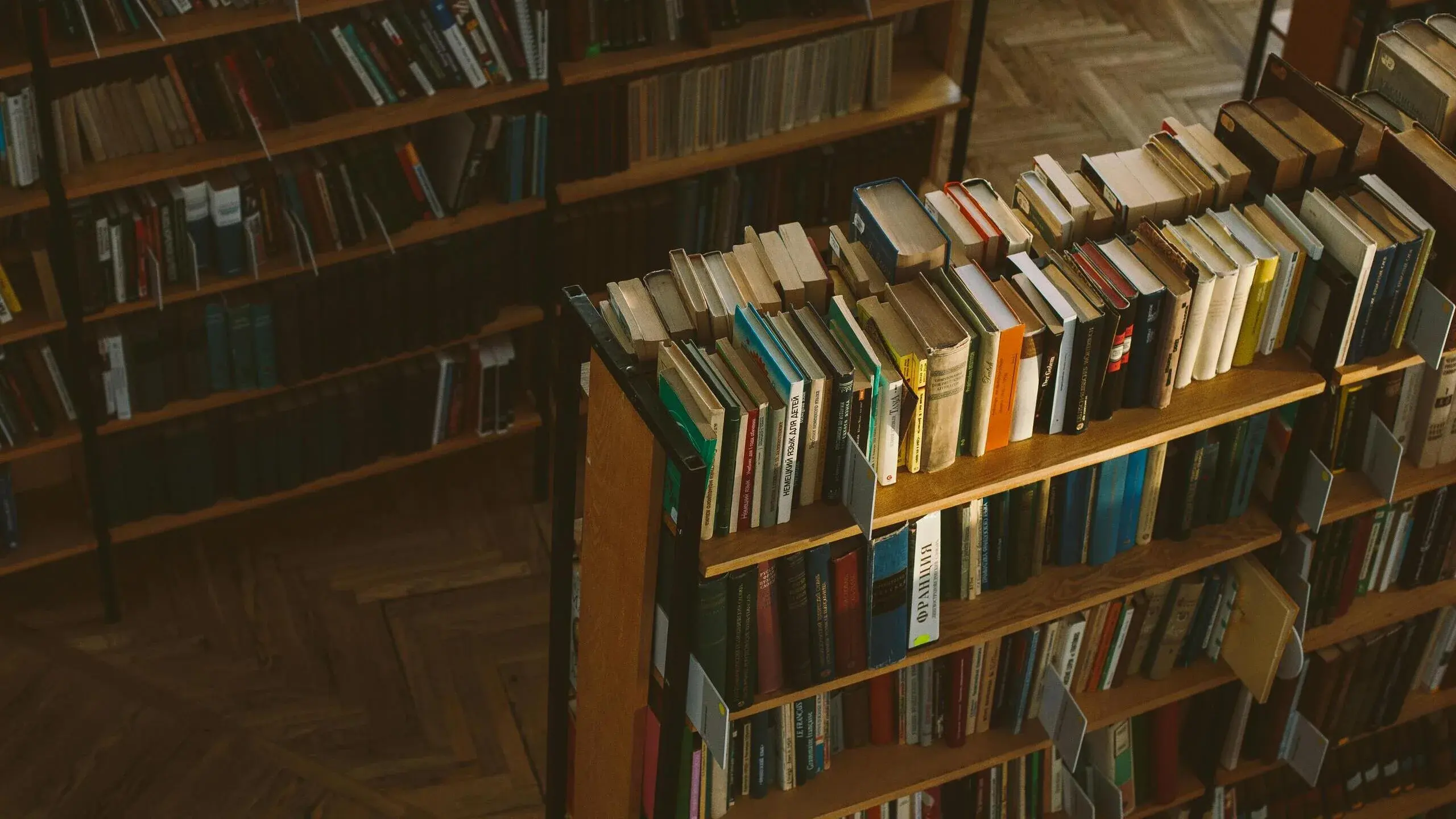 Books filling the warm wooden shelves of a library above a herringbone floor