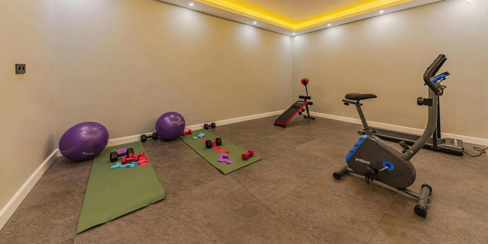 A studio with yoga mats, exercise balls, resistance bands, and light dumbbells