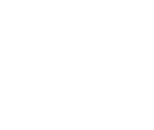 Maxlor Group