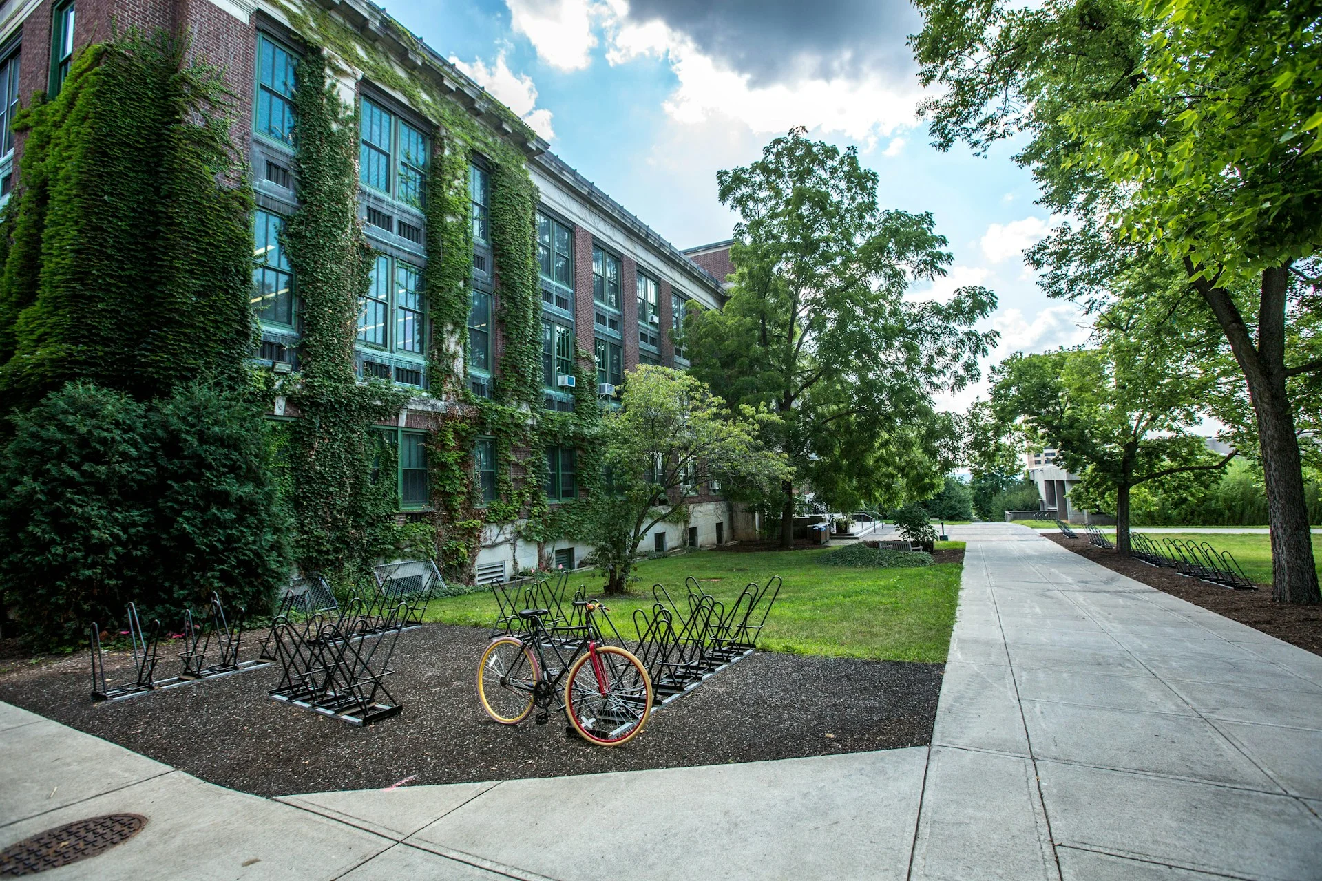 commercial landscaping